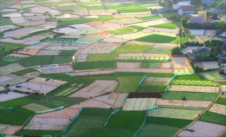 Hòn[-]đảo[-]thiên[-]đường[-]Lý[-]Sơn[-]